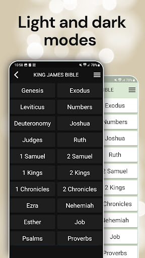 King James Bible Screen 2