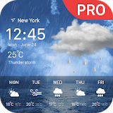 weather forecast pro icon