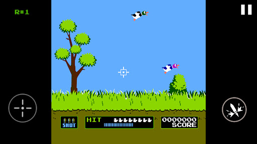 Duck Hunt Screen 3