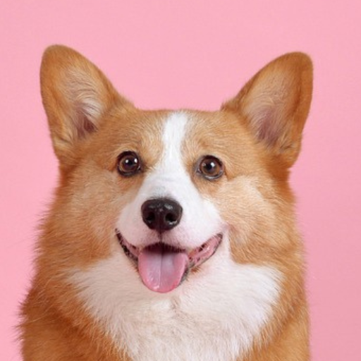 Mascota en tu Pantalla logo