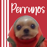 Cover Image of Herunterladen Stickers Perrunos  APK