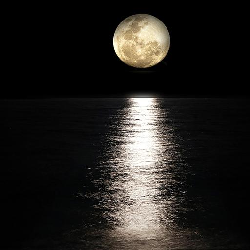 Moon Tarot Card Reading logo