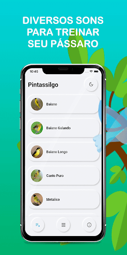 Songs of Pintassilgo Screenshot 1 - AppWisp.com