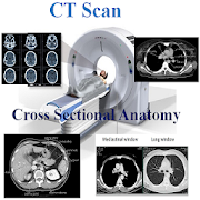 Top 38 Medical Apps Like CT Scan Cross Sectional Anatomy - Best Alternatives