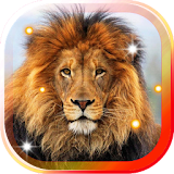 Lions Real Photo LWP icon