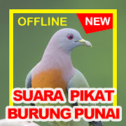 Suara Burung Punai Green Pigeon HD Audio