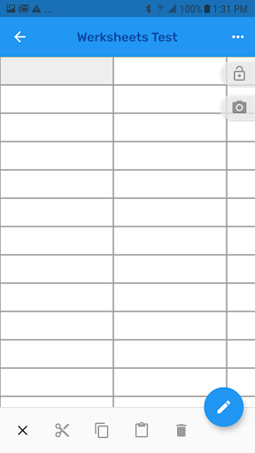 WerkSheets: Data Management Screen 3