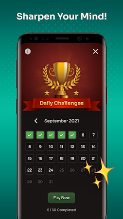 Game screenshot Solitaire apk download