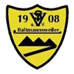 Cover Image of 下载 TSV Baltmannsweiler  APK
