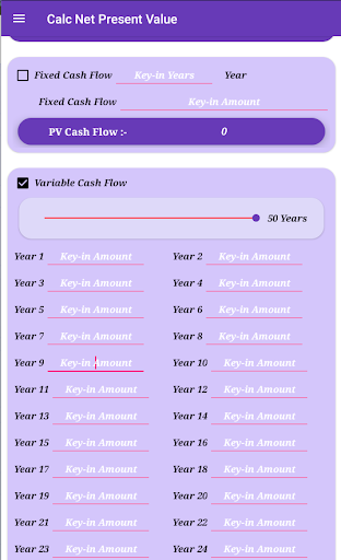 Net Present Value Screen 2