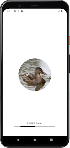 Android application Duck Sounds screenshort