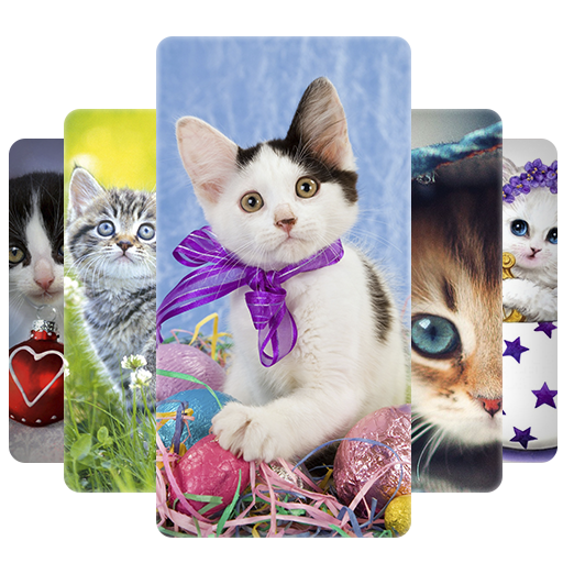 Cute Kitten Wallpapers HD logo