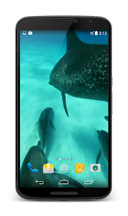 Dolphins Video Live Wallpaper(圖6)-速報App