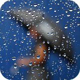 Rain Live Wallpaper : 3D icon
