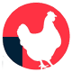 E-POULTRY Vet Download on Windows