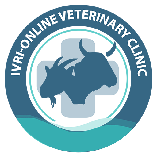 IVRI-Online Veterinary Clinic  Icon