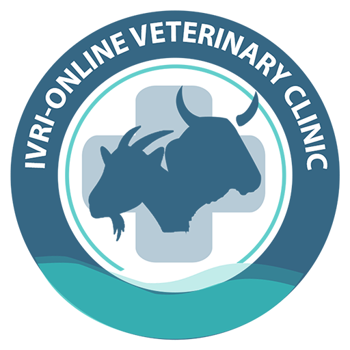 IVRI-Online Veterinary Clinic logo