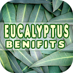 Cover Image of Download Eucalyptus Benefits  APK