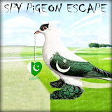 Spy Pigeon Escape icon