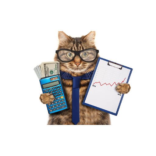 Cat Breed Classifier Header - AppWisp.com