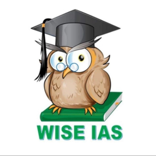 Wise IAS logo