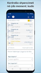 CREDINS online