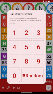 Bingo Caller 5