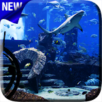 Cover Image of Tải xuống Aquarium Video Hình Nền Động  APK