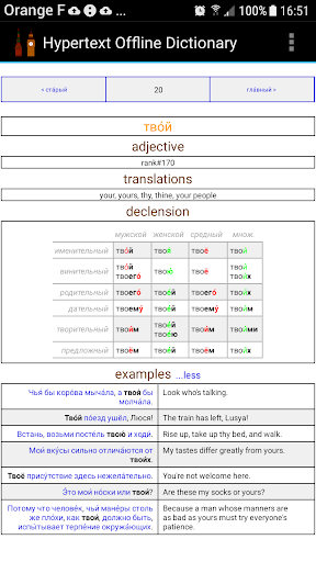 English Russian Dictionary Screen 3
