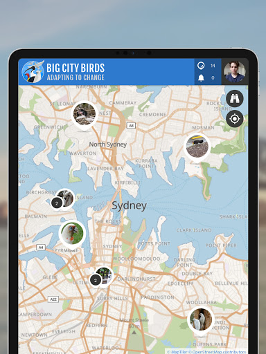 Big City Birds  SPOTTERON