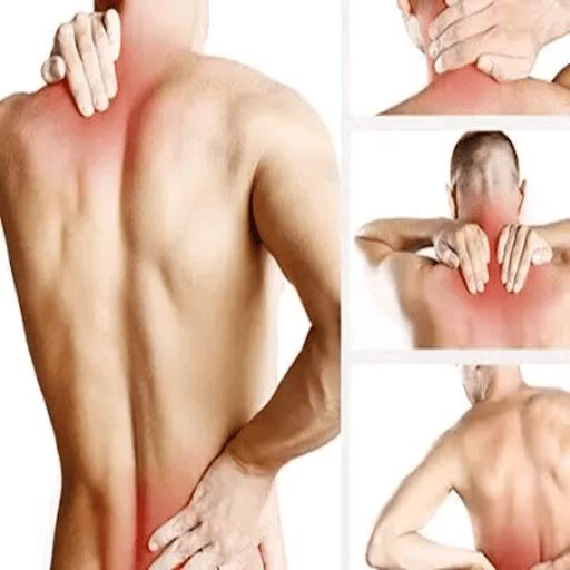 Back Pain Exercises logo
