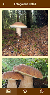 Fungus - Identifizierung von Pilzen Screenshot