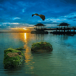 Cover Image of Baixar Evening Beach View LWP  APK