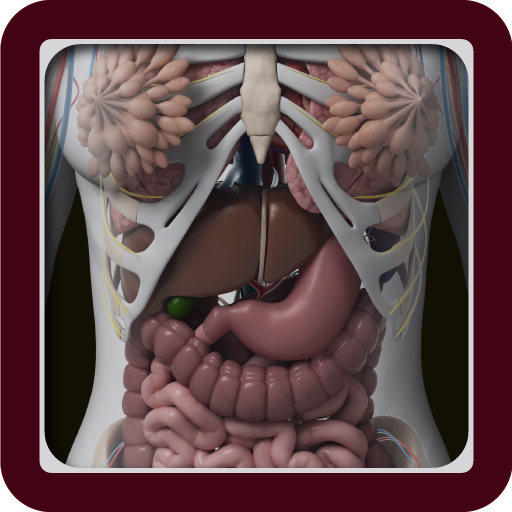 Complete 3D Female Anatomy Logo