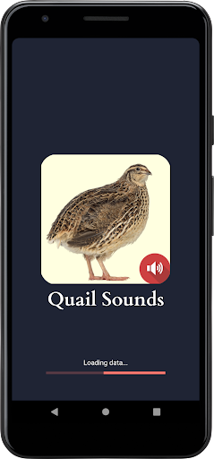 Android application Quail Sounds screenshort