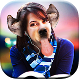 Dog Face Changer icon