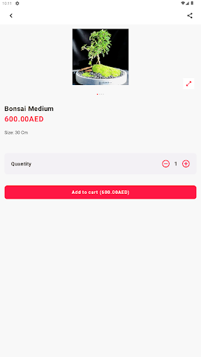 Bonsai ae Screen 2
