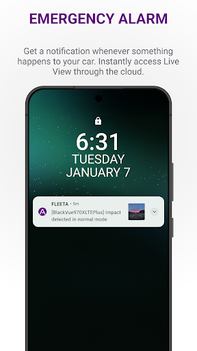 Screenshot of FLEETA