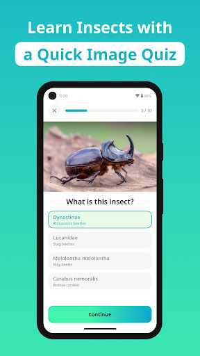 Insect Identifier - Insectium