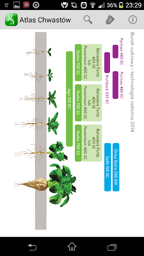 Atlas Chwastów Chorób Szkodnik