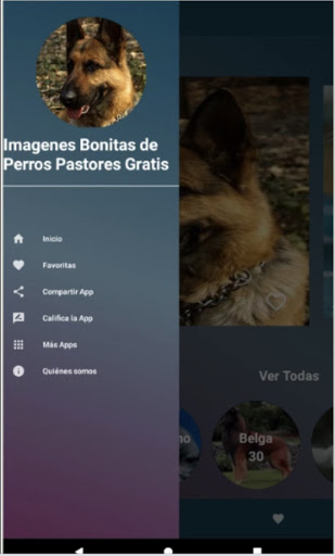 Imágenes de Perros Pastores Screen 2