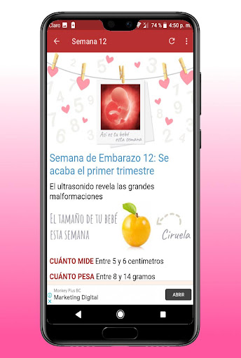 Tu Embarazo Semana a Semana Screen 3