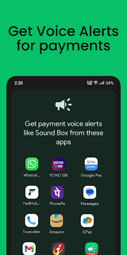 Payment Alerts like Sound Box 1
