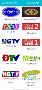 Vietnamese TV