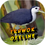 Cover Image of Download suara burung truwok offline  APK