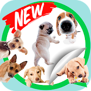 Top 32 Communication Apps Like cute puppies stickers wastickersapps - Best Alternatives