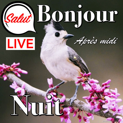 French Good Morning to Night logo
