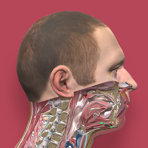 Приложения в Google Play – Pirogov Anatomy