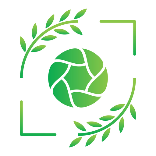 Scouts logo
