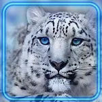 Cover Image of ダウンロード Snow Leopard Sounds  APK